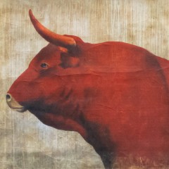 TAUREAUX - RED BULLS (200x120cm)